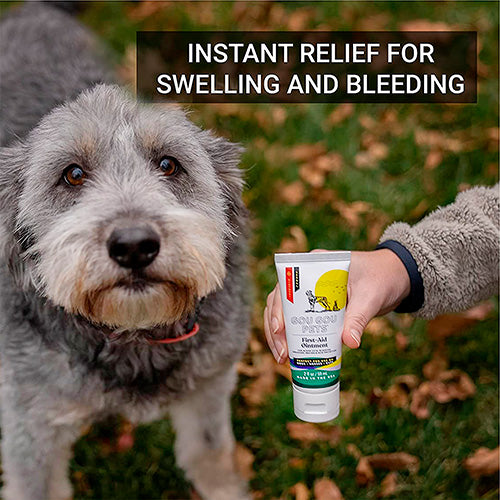 First Aid Ointment for Dogs