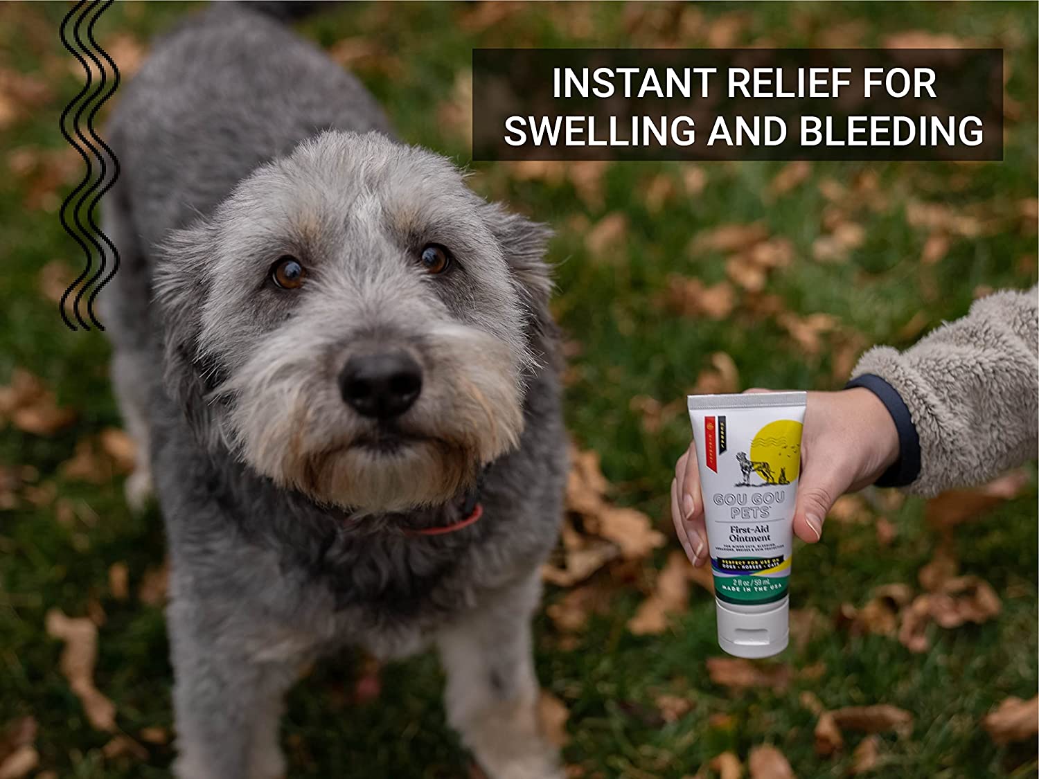 First Aid Ointment for Cats