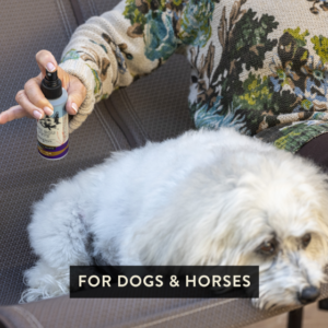 Joint Spray for Dogs