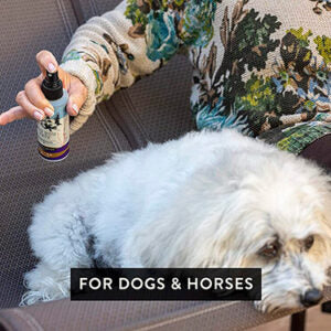 Joint Spray for Cats