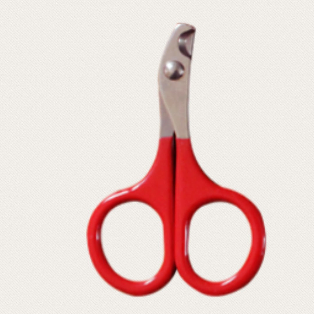 Professional Pedicure Kit for Dogs with Millers Forge