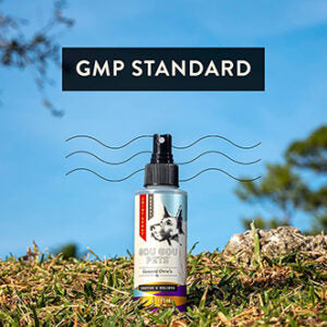 Joint Spray for Dogs