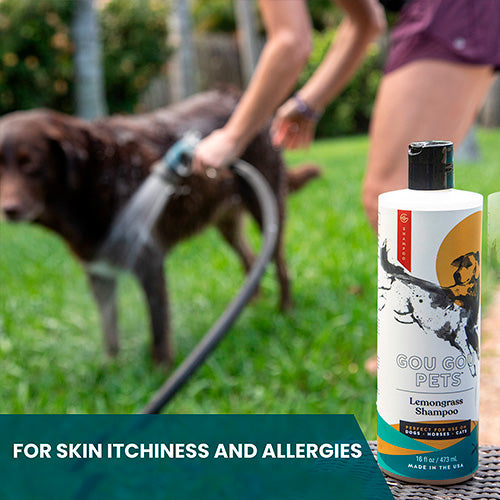 Lemongrass Shampoo for Horses