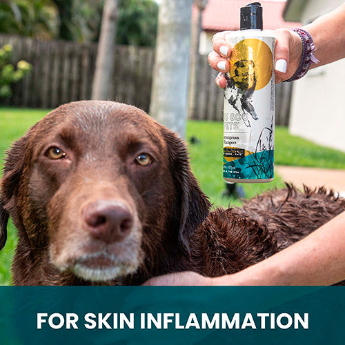 Lemongrass Shampoo for Horses