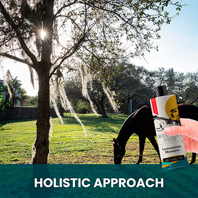 Lemongrass Shampoo for Horses