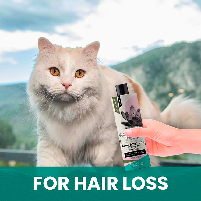Lotus and White Tea Shampoo for Cats: Natural Control for Deshedding