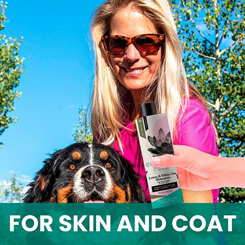 Lotus and White Tea Shampoo for Dogs: Natural Control for Deshedding