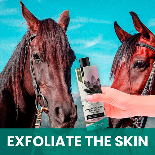 Lotus and White Tea Shampoo for Horses: Natural Control for Deshedding