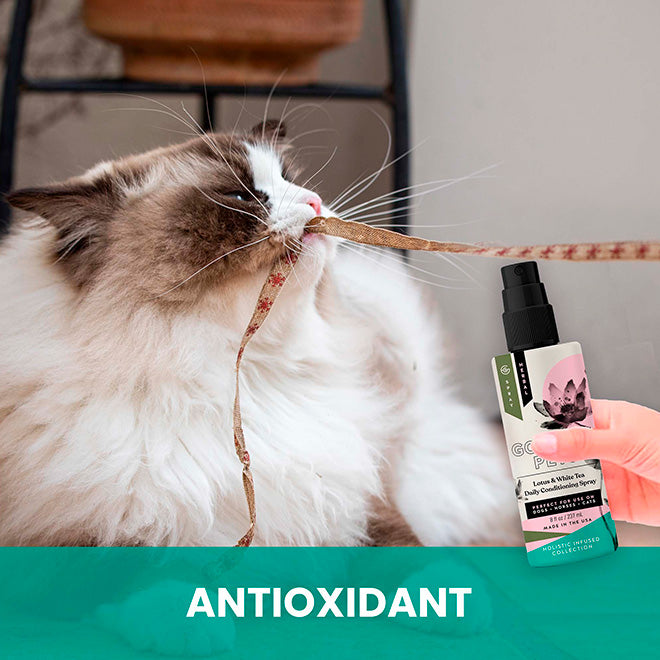 Lotus and White Tea Daily Conditioning Spray for Cats