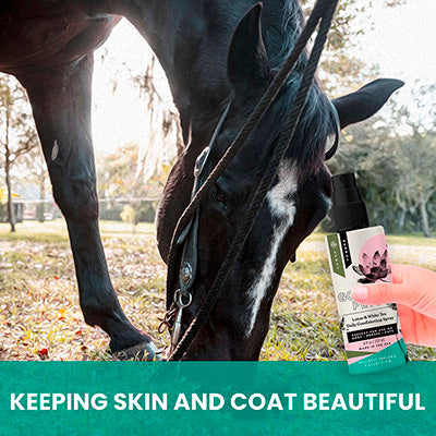 Lotus and White Tea Daily Conditioning Spray for Horses
