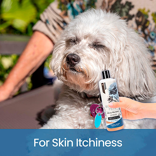 Allergy Shampoo for Dogs image 4