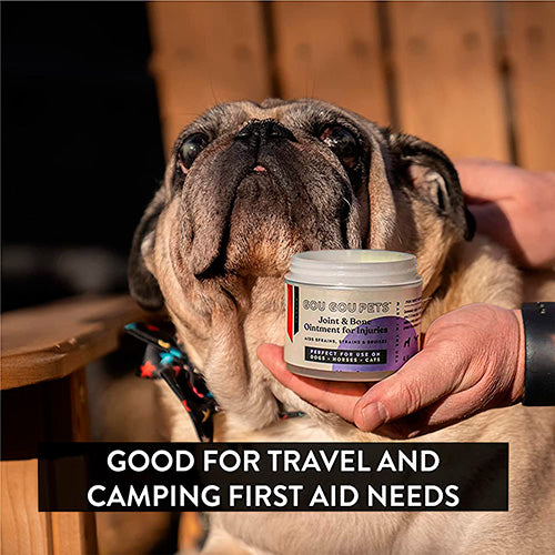 Joint and Bone Ointment for Dogs image 3