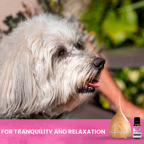 Essential Oil Diffuser and Calming Oil Set for Dogs