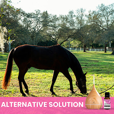 Essential Oil Diffuser and Calming Oil Set for Horses