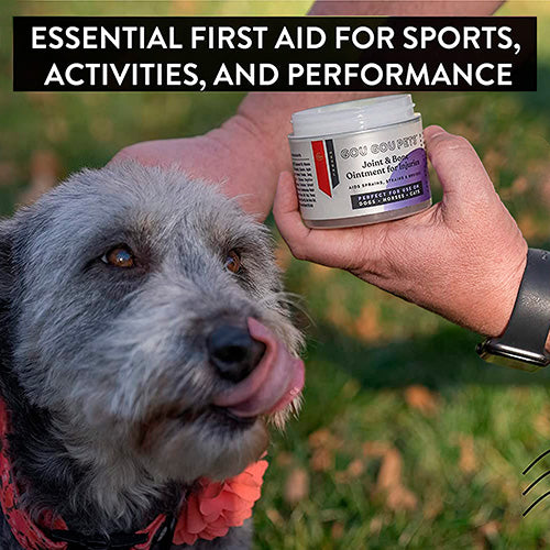 Joint and Bone Ointment for Dogs image 5