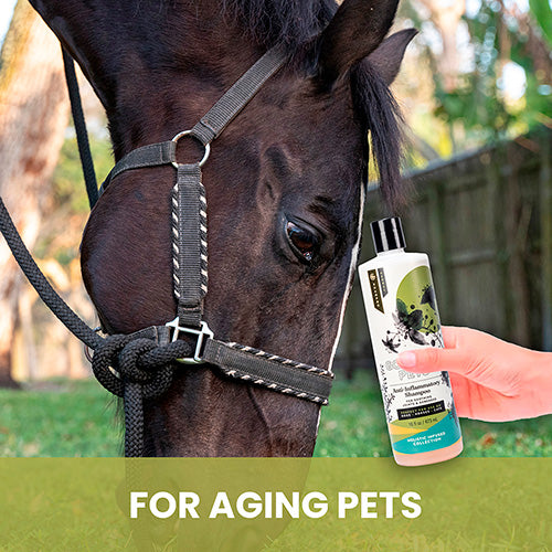 Joint Comforting Shampoo for Horses image 3