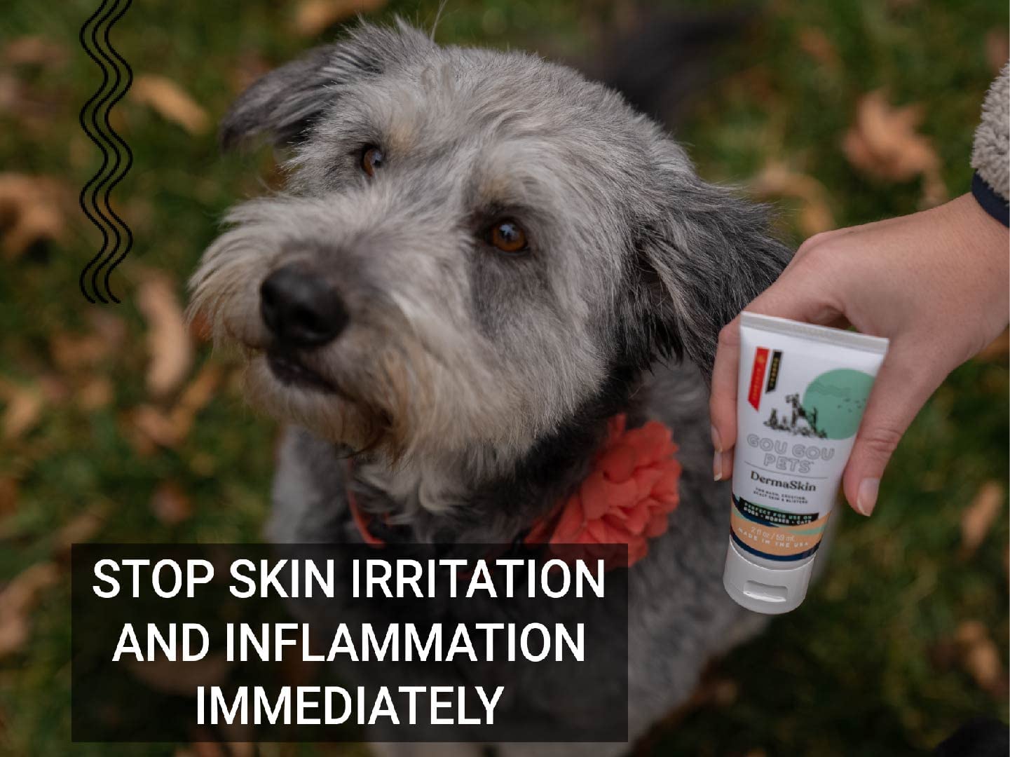 DermaSkin Ointment for Dogs