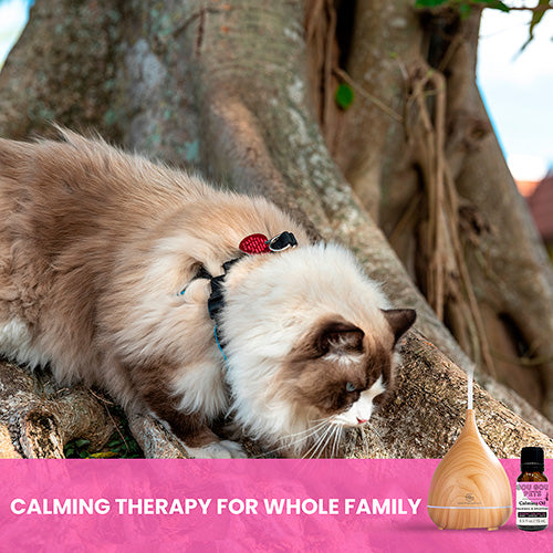 Essential Oil Diffuser and Calming Oil Set for Cats image 4