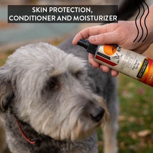 Hot Spot Spray for Cats