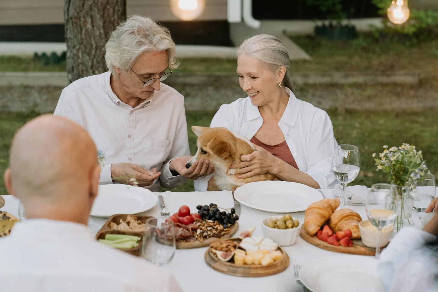 Safe Snacking: Can Dogs Eat Cashews?
