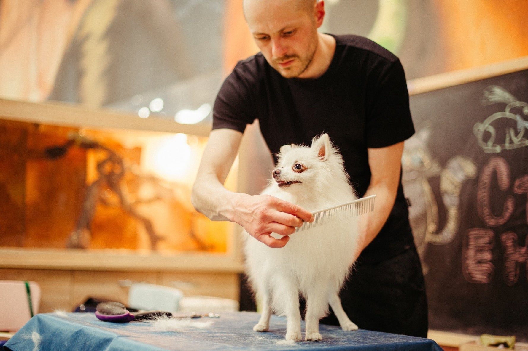 How Long Does Dog Grooming Take? Timing Your Pet's Pampering