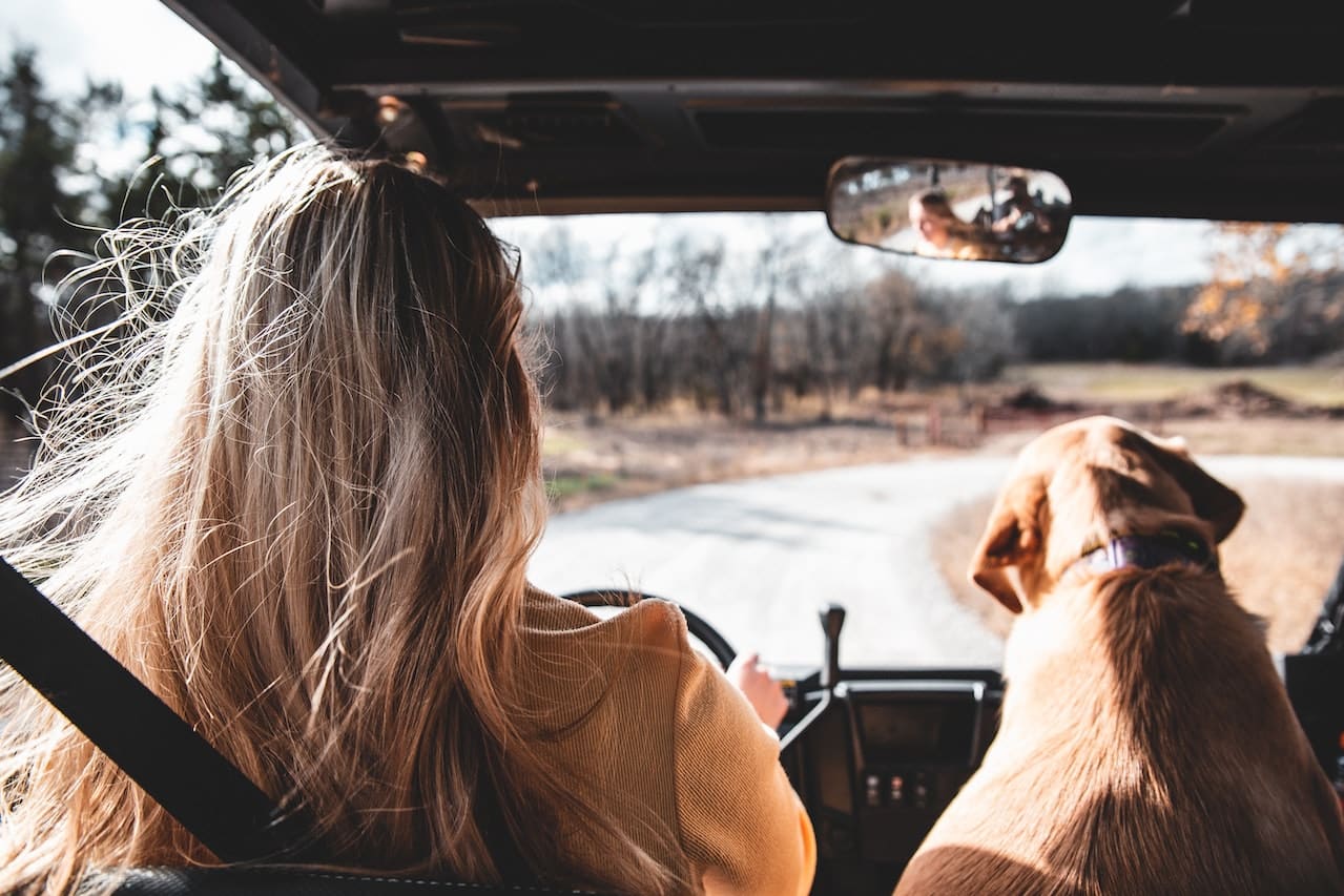 Dog Car Anxiety: Tips to Ease Dog Travel Stress