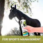 Joint Comforting Shampoo for Horses image 4