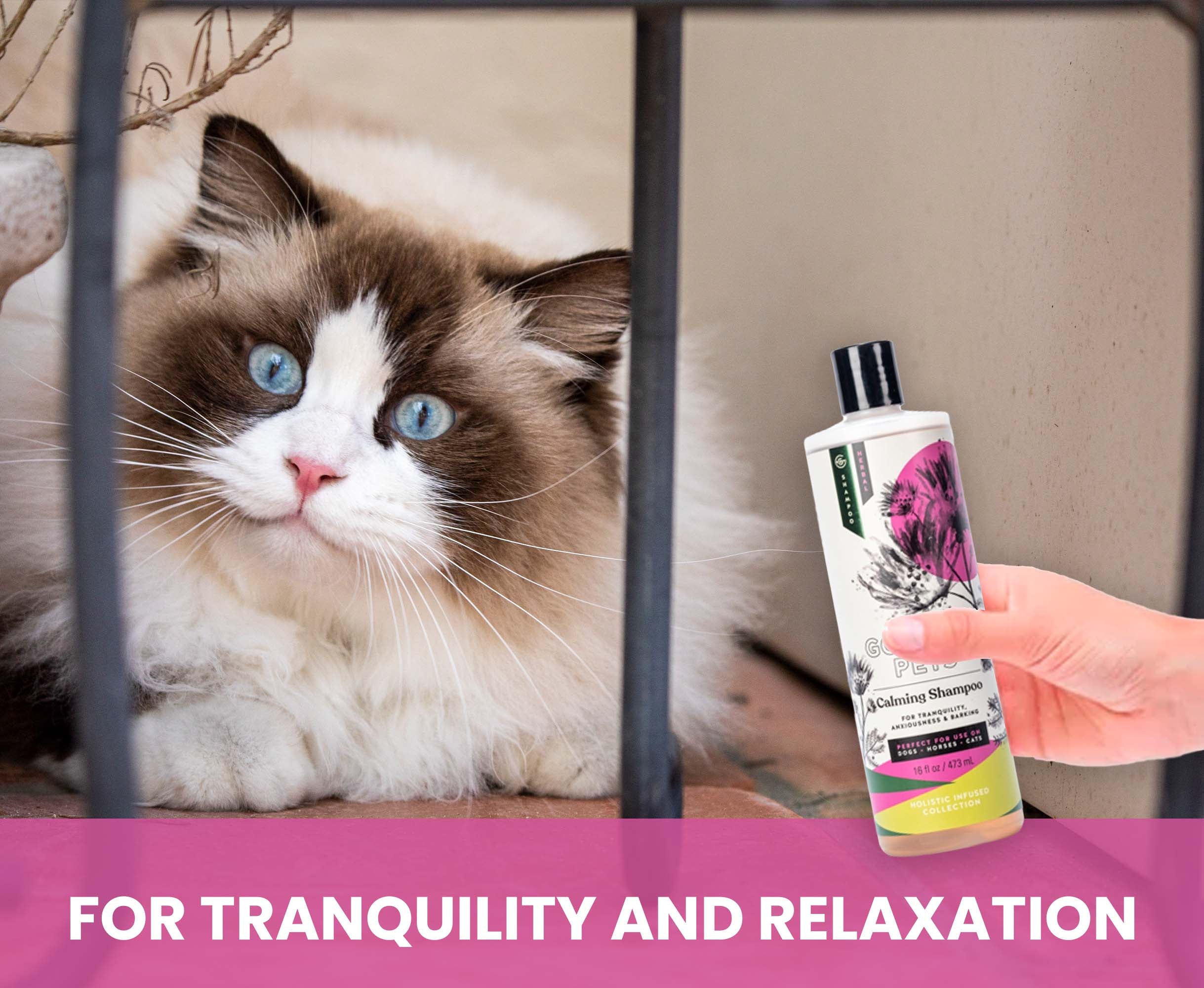 Calming Shampoo for Dogs