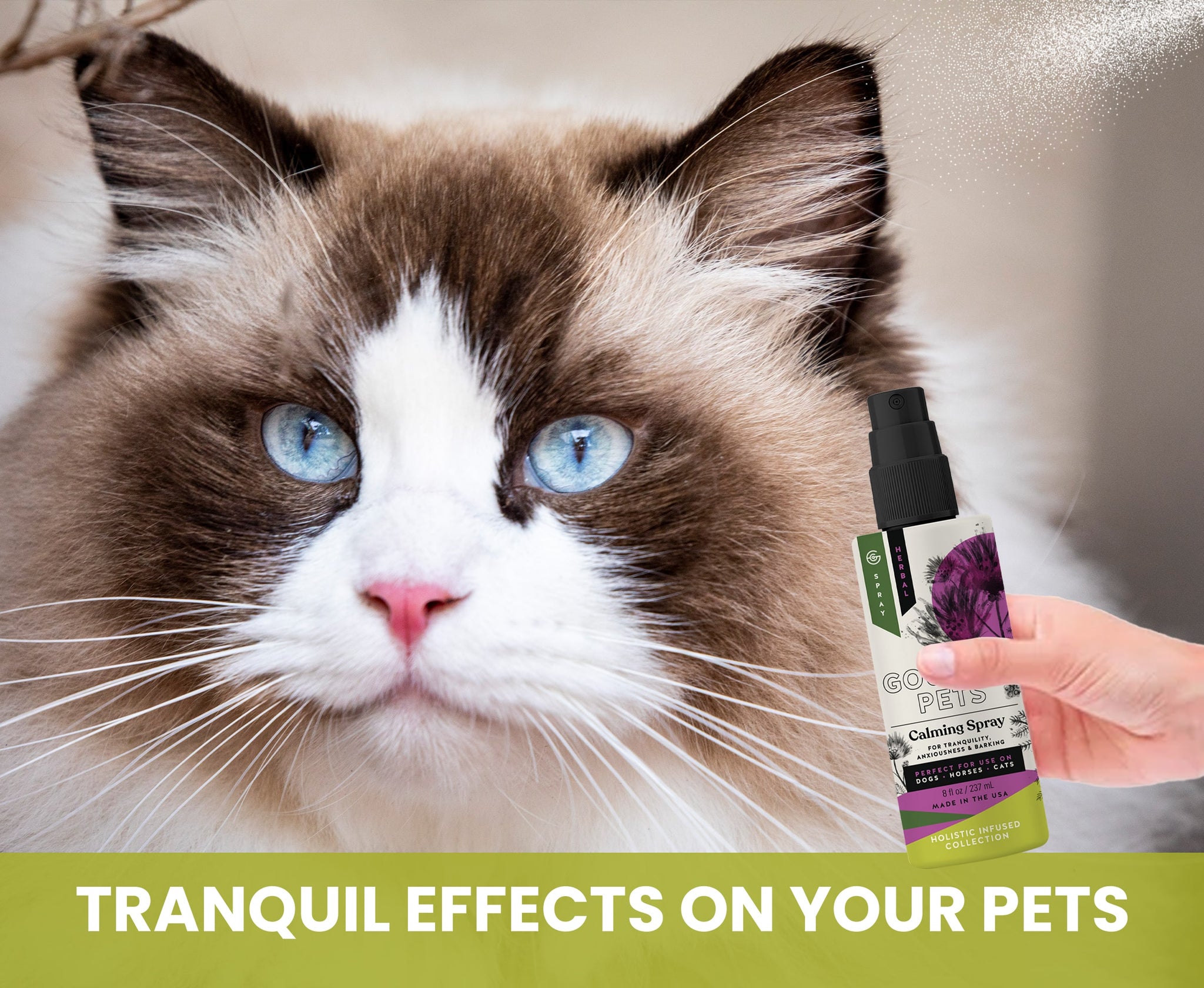 Calming Spray for Dogs: Natural Support for Anxiousness and Stress