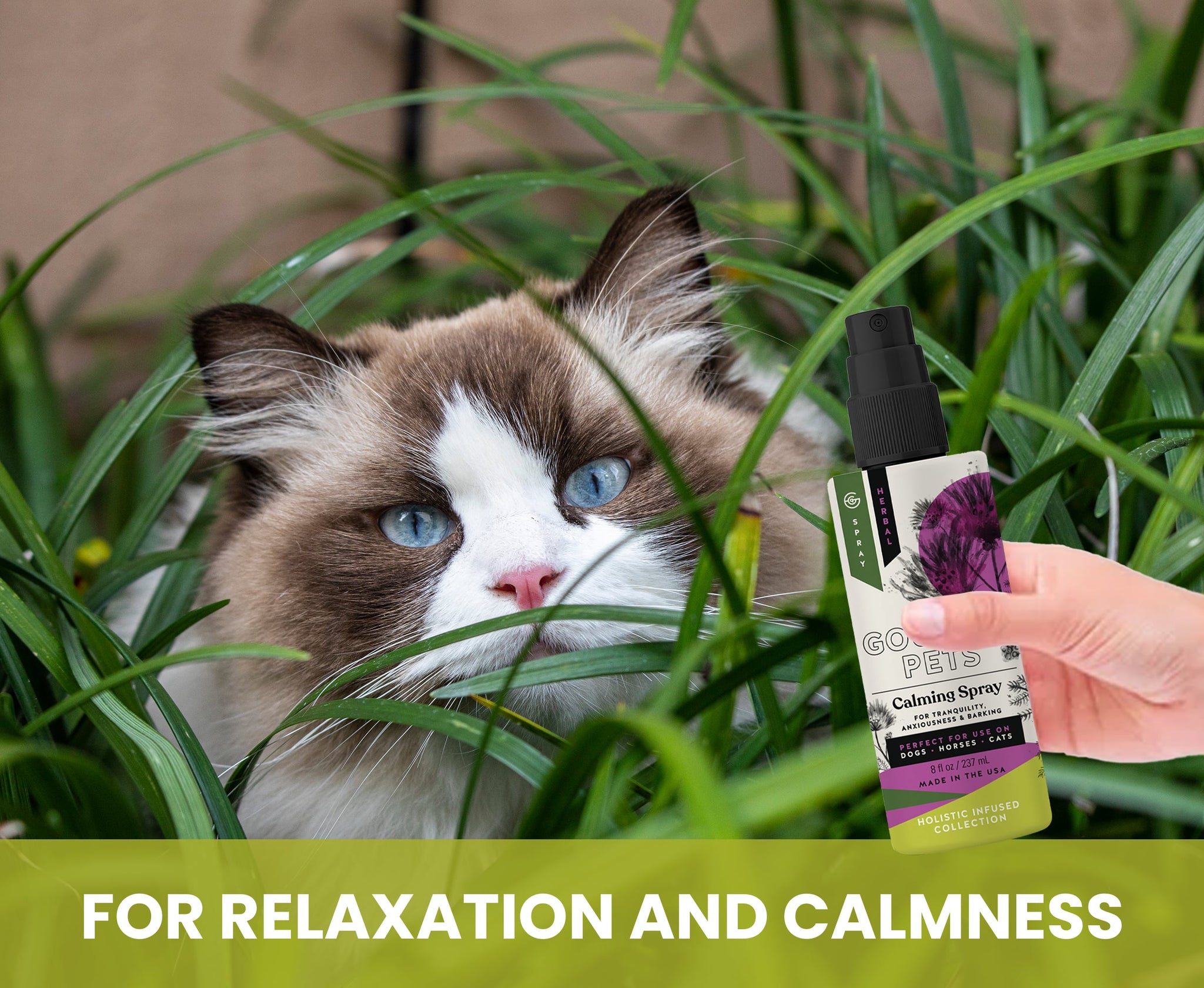 Calming Spray for Dogs: Natural Support for Anxiousness and Stress