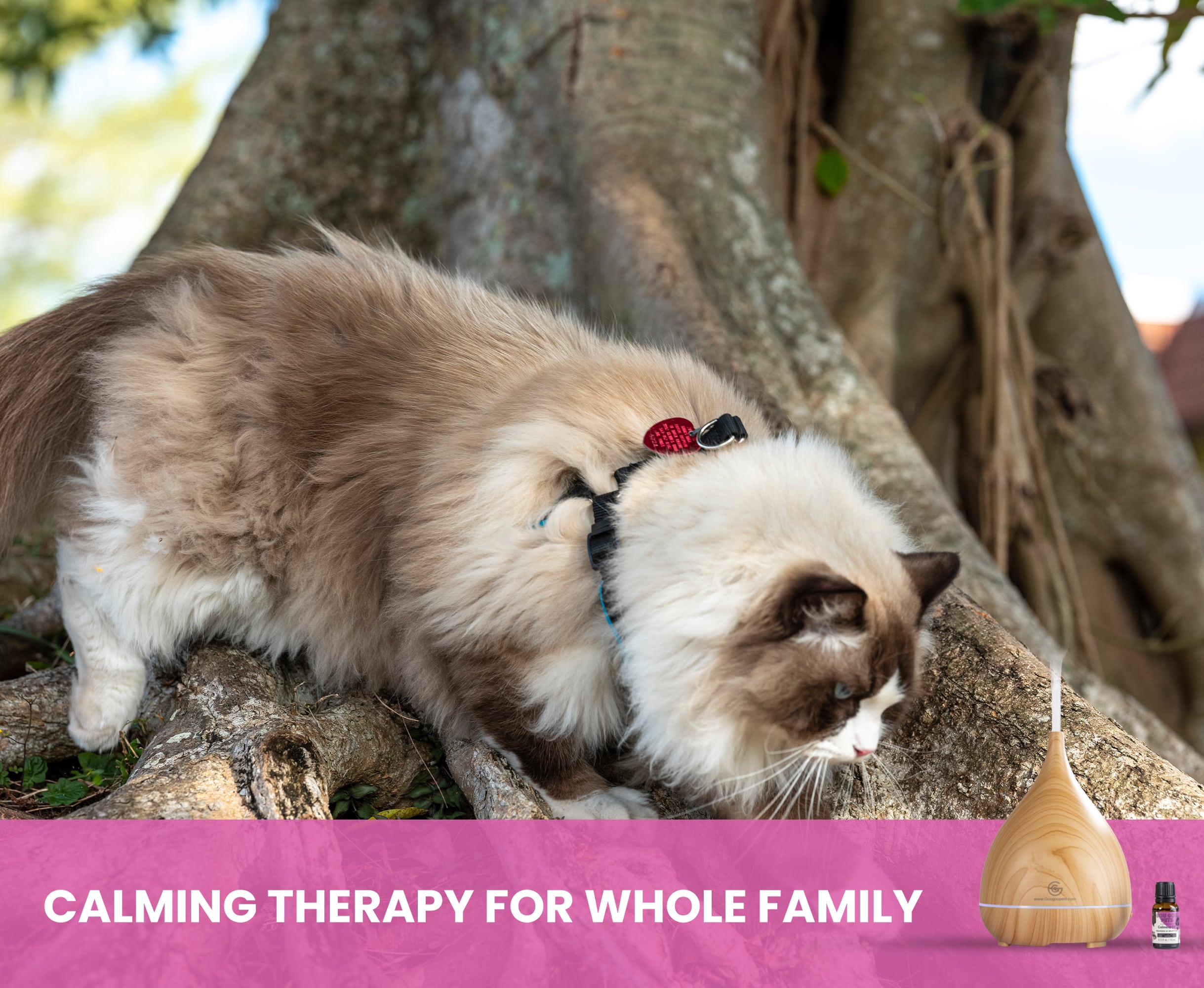 Essential Oil Diffuser and Calming Oil Set for Dogs