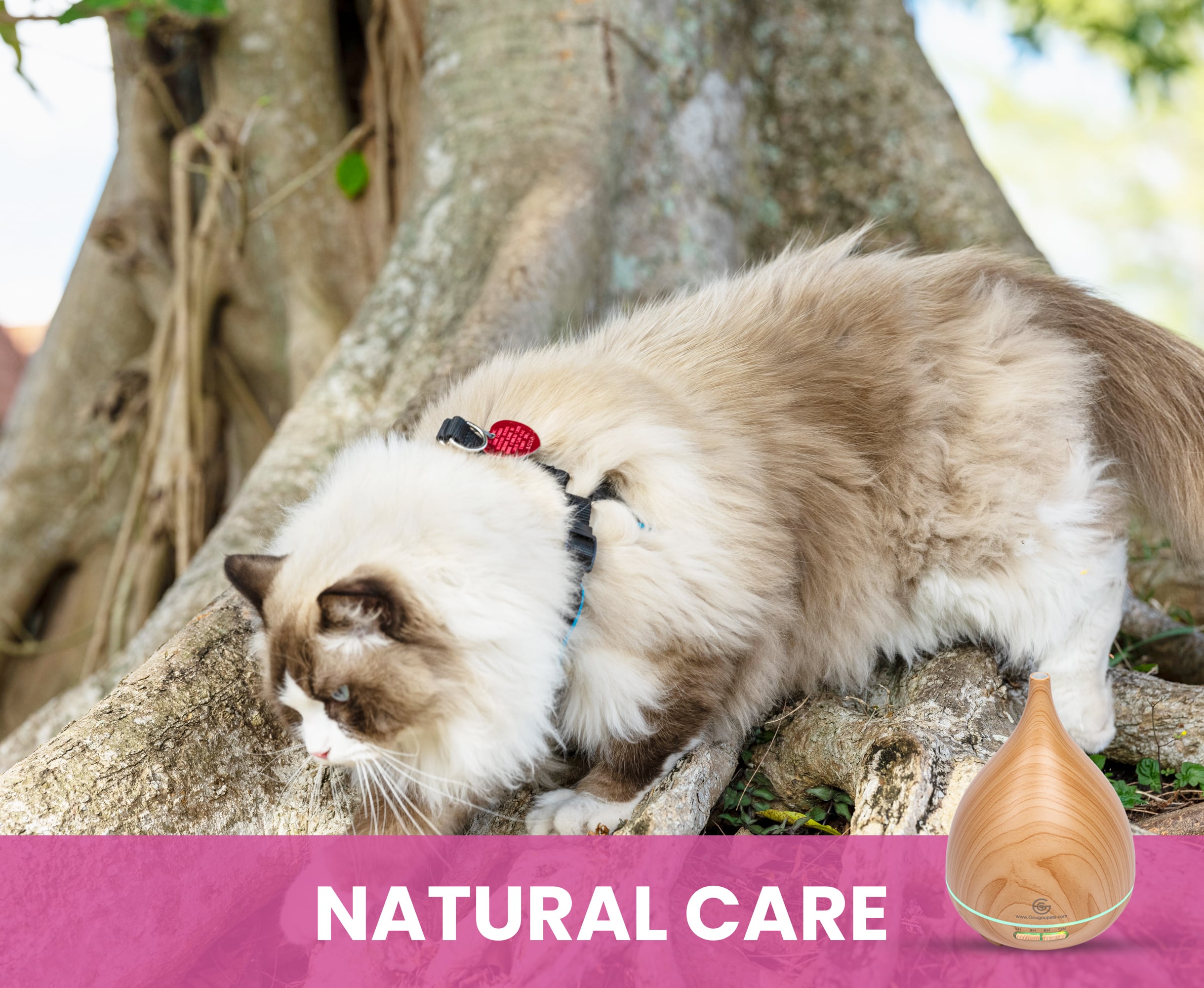 Essential Oil Diffuser for Horses | 300 mL