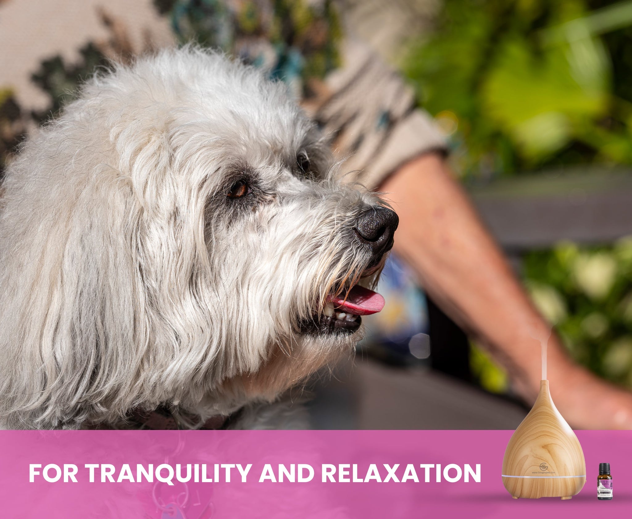 Essential Oil Diffuser and Calming Oil Set for Horses