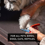 Professional Dog Pedicure Kit With Guillotine Clipper image 4