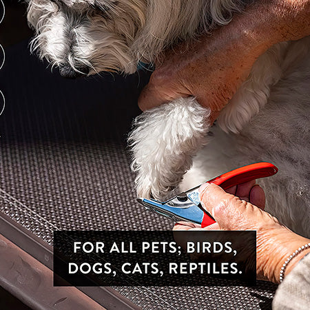 Professional Dog Pedicure Kit With Guillotine Clipper image 4