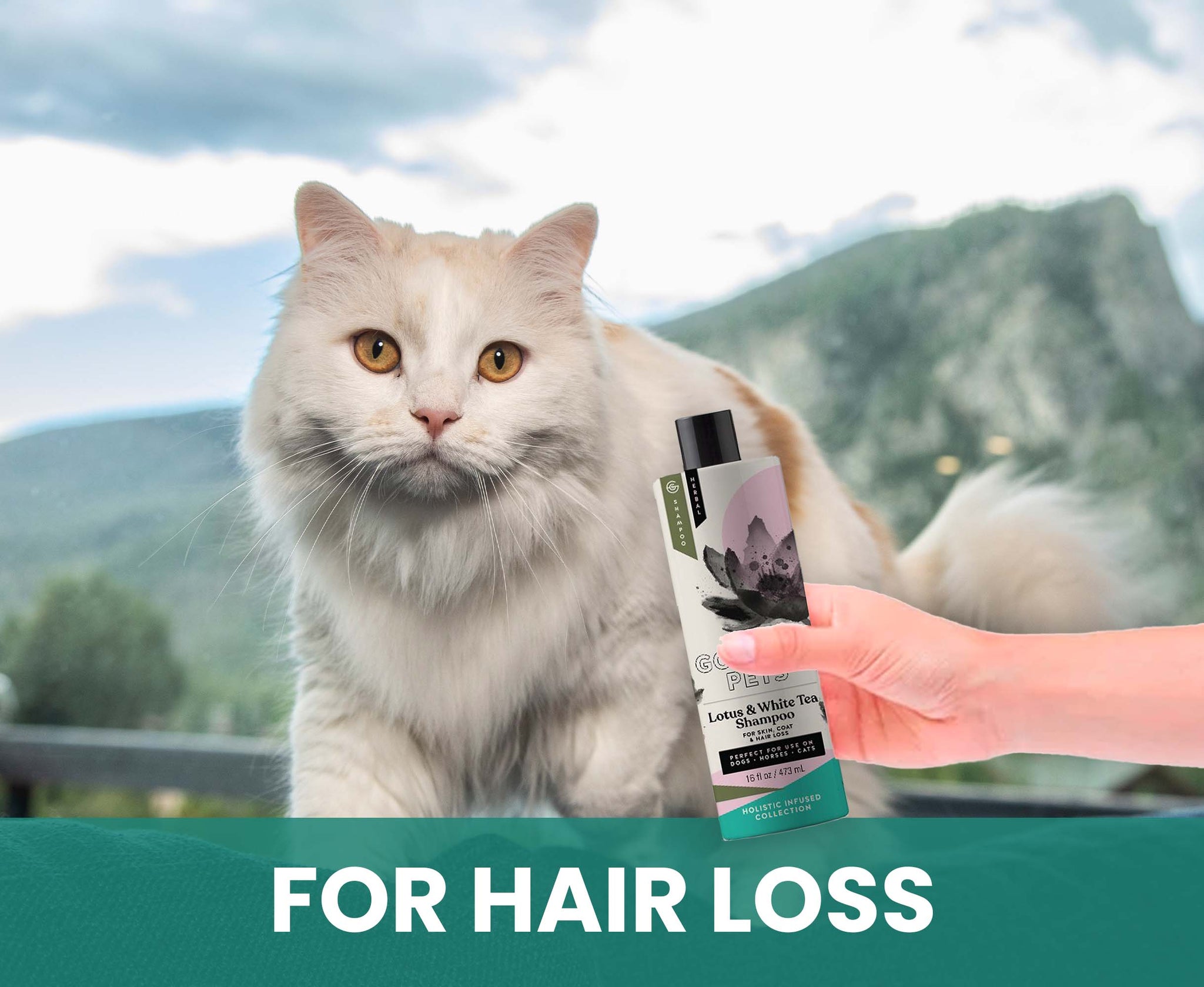 Lotus and White Tea Shampoo for Horses: Natural Control for Deshedding