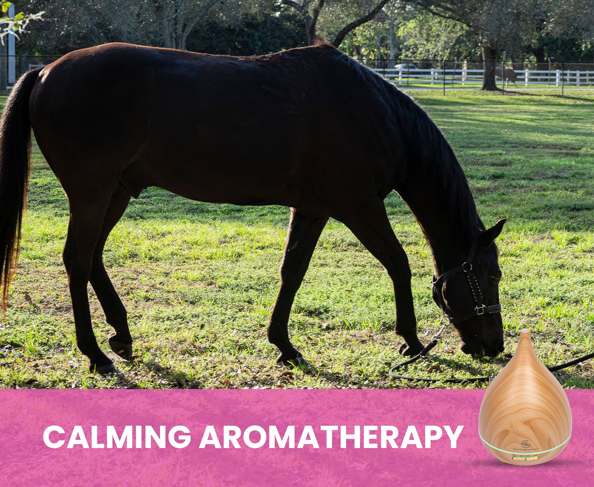 Essential Oil Diffuser for Cats | 300 mL