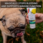 First Aid Ointment for Dogs image 5