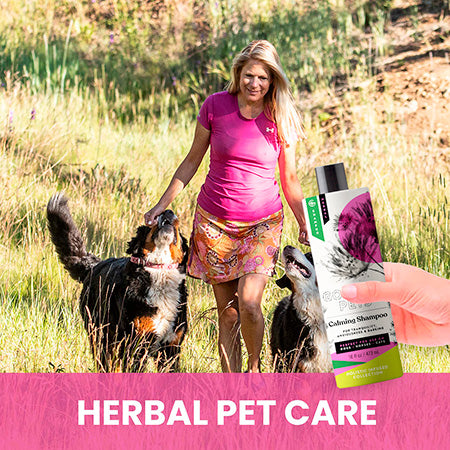 Calming Shampoo for Dogs