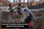Person applying a spray to a dog's nose with a stone wall and blurred background