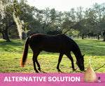 Horse grazing in a field with a pink banner at the bottom displaying 'Alternative Solution'.