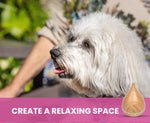 White dog with a pink background and text 'Create a Relaxing Space'