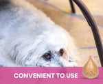 Dog lying on a wooden floor next to a wooden product with text 'CONVENIENT TO USE'.