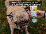 Dog with a tube of 'Gou Gou Pets' First Aid Ointment on a grassy background