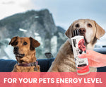 Two dogs sitting on a couch with a bottle of pet product in front of them, mountainous landscape in the background.