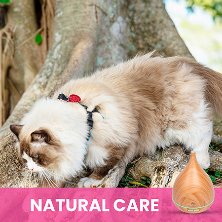 Essential Oil Diffuser for Cats | 300 mL