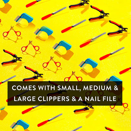 Professional Pedicure Kit for Dogs with Millers Forge