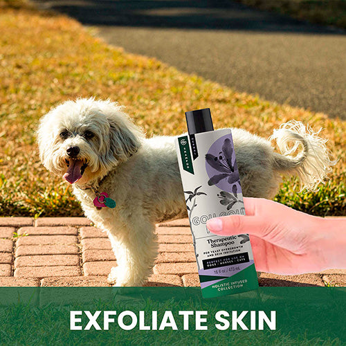 Therapeutic Shampoo for Dogs: Natural Relief for Skin Yeast Overgrowth