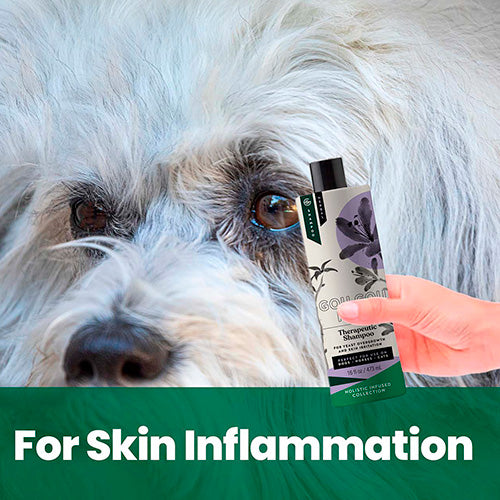 Therapeutic Shampoo for Dogs: Natural Relief for Skin Yeast Overgrowth