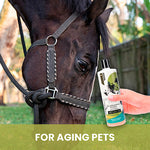 Joint Comforting Shampoo for Horses image 3